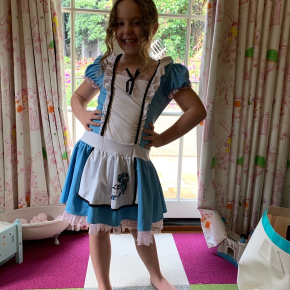 Meet your Posher, Miranda & Goldie - Picture 7 of 8